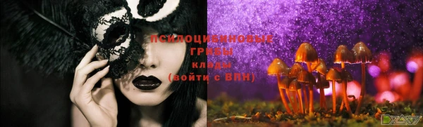 метадон Армянск