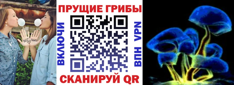 мориарти Telegram  как найти наркотики  Еманжелинск  Псилоцибиновые грибы MAGIC MUSHROOMS 